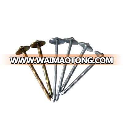 High quality factory price umbrella head roofing nails